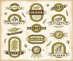 Olive oil label vector